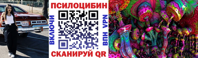 блэк спрут рабочий сайт  Пыталово  Псилоцибиновые грибы Psilocybine cubensis 